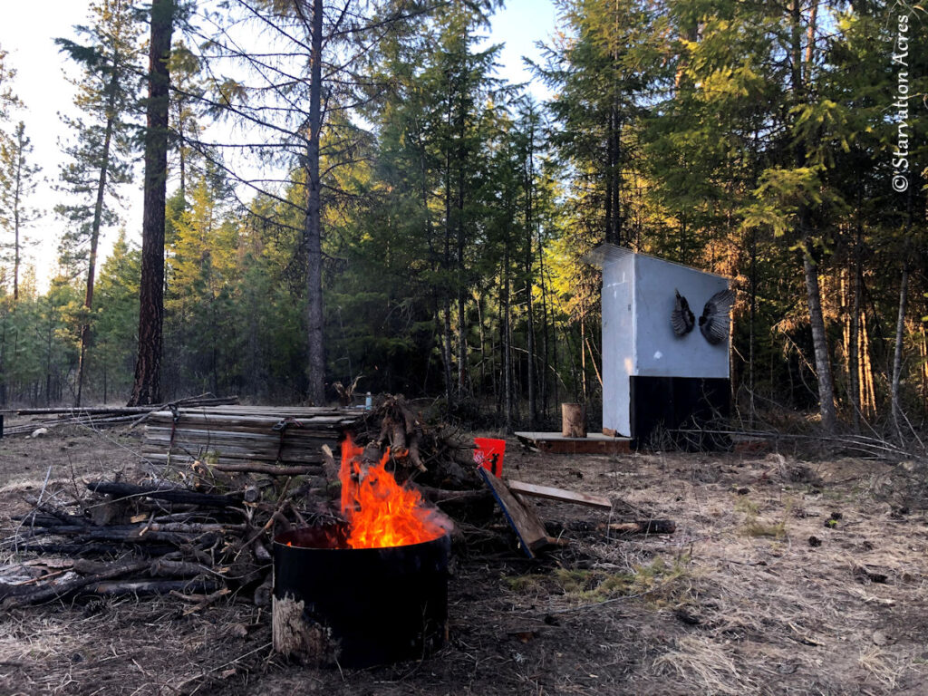 Campfire with turkey wings mounted in the  background.