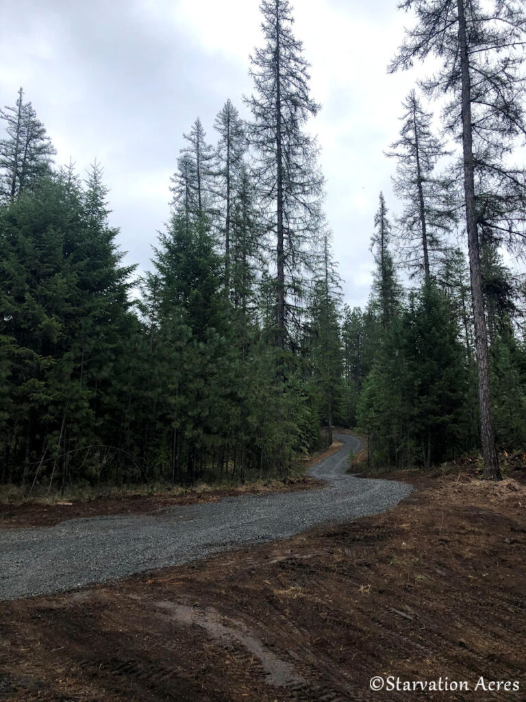 Curvy driveway. 