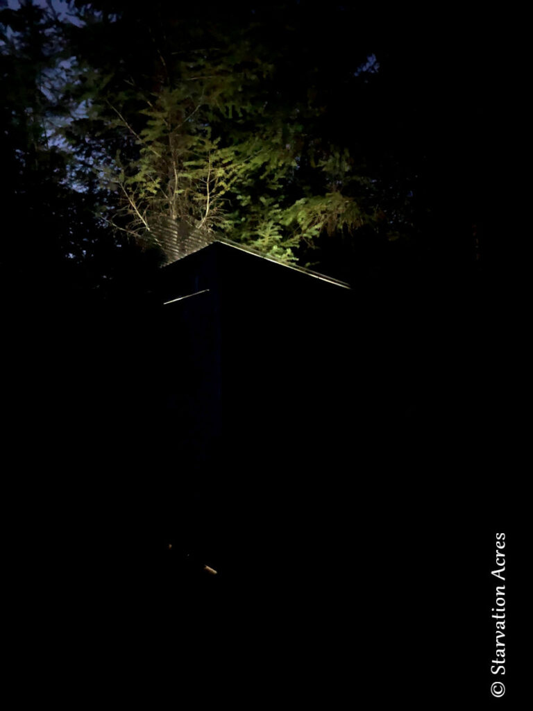 Outhouse skylight illuminating trees above at night.