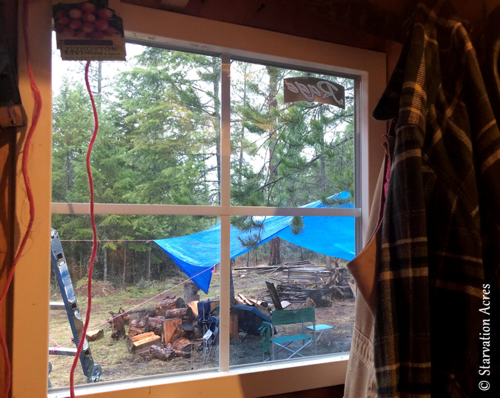 View of the rain tarp as seen from our micro cabin.