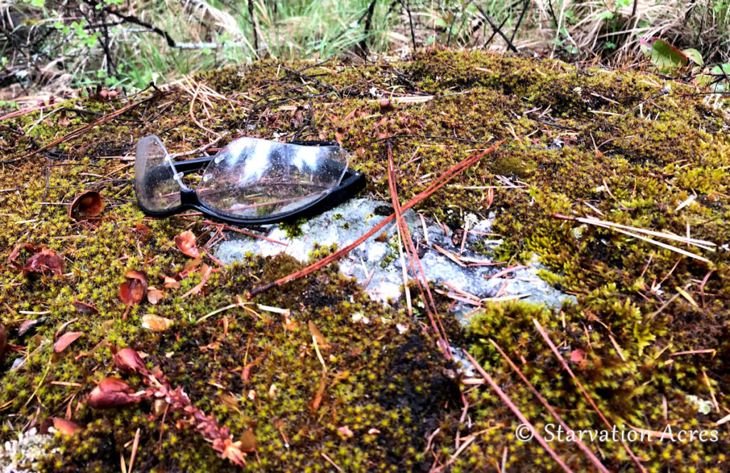 Trespasser safety glasses.