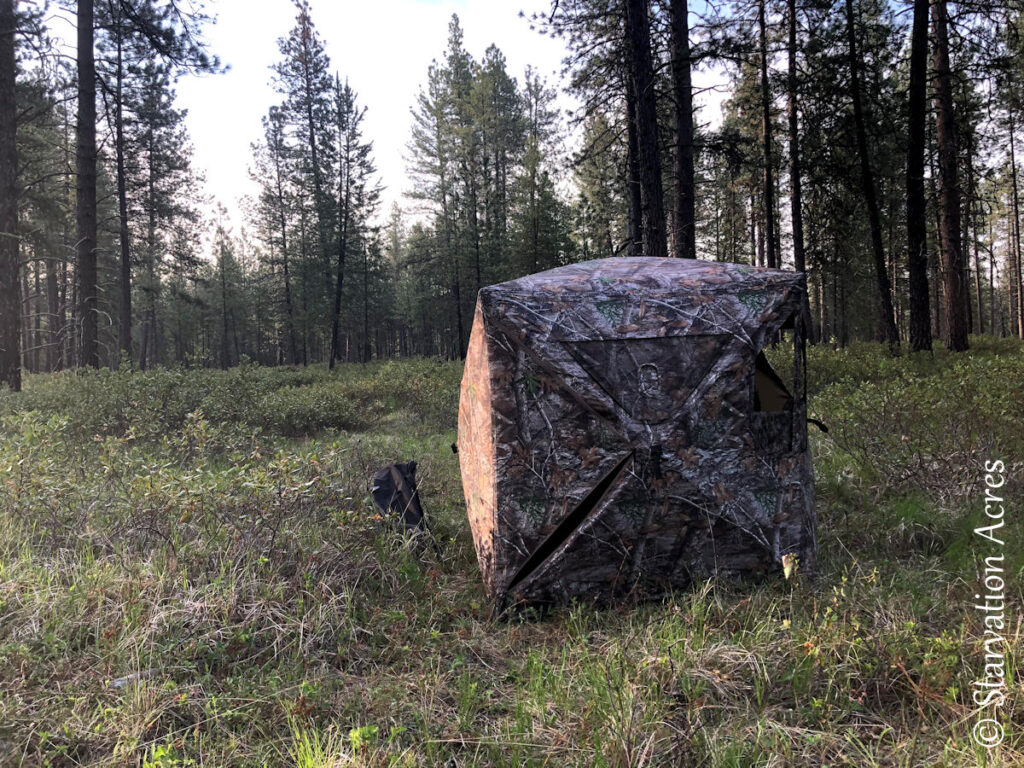 Two man popup hunting blind.