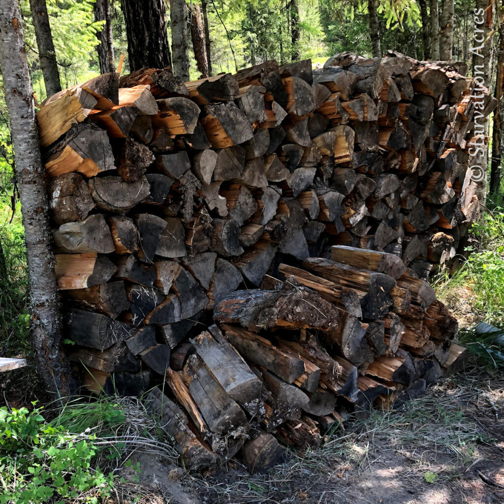 Firewood pile