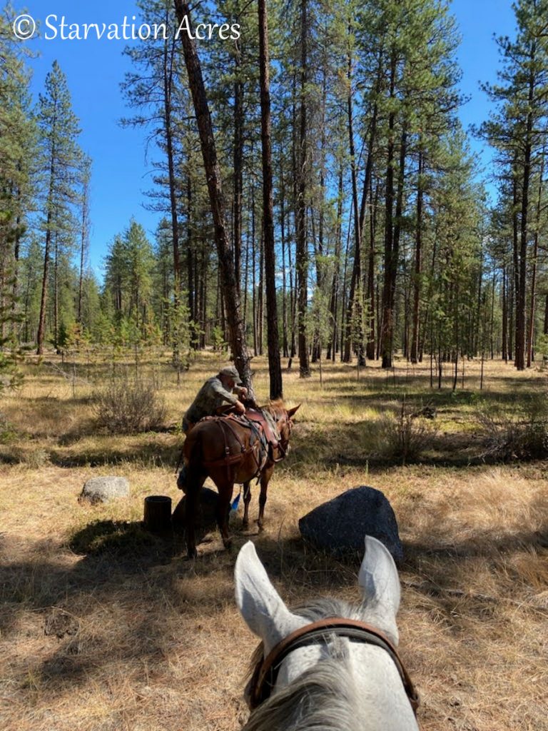 Butch mounting Red the mule.