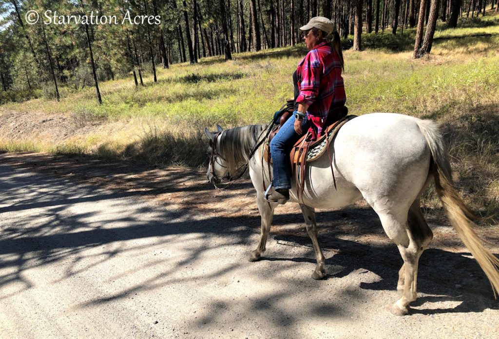 Naomi riding Stormy in the LPO