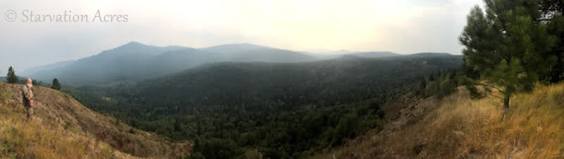 Panoramic view in the Selkirk Mountains