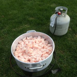 Large pot of bear fat rendering on the outdoor propane burner.