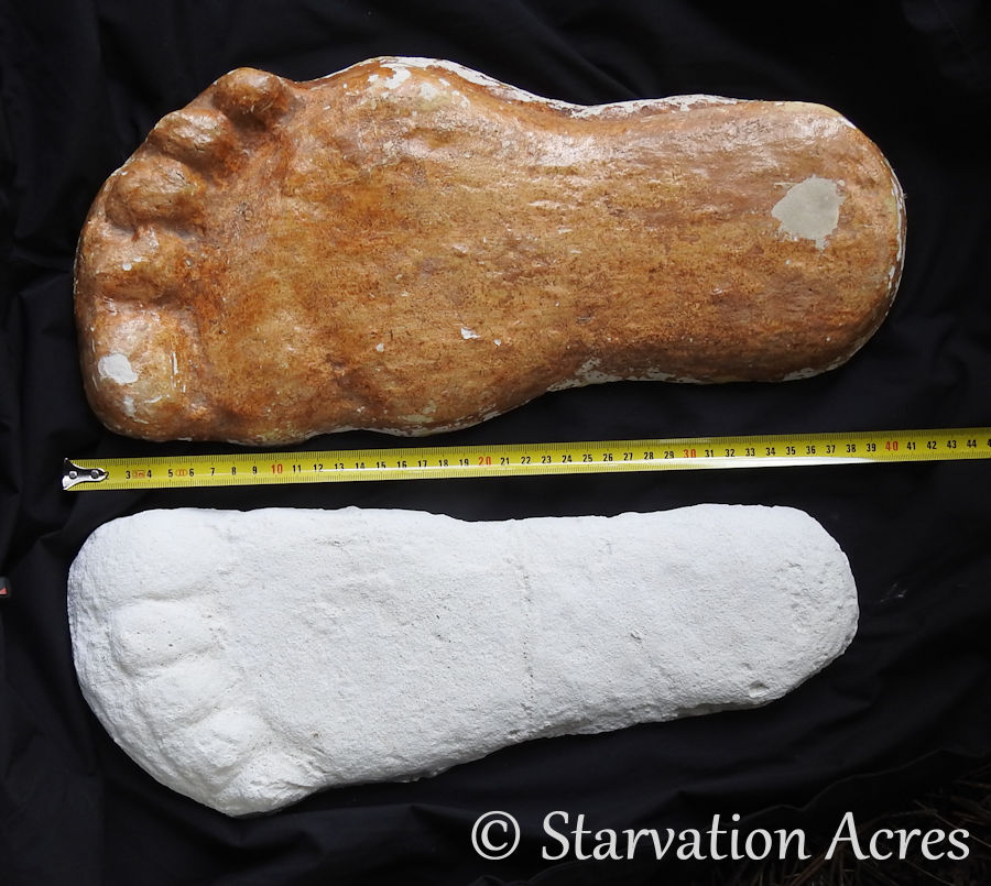 Titmus and Patterson Casts