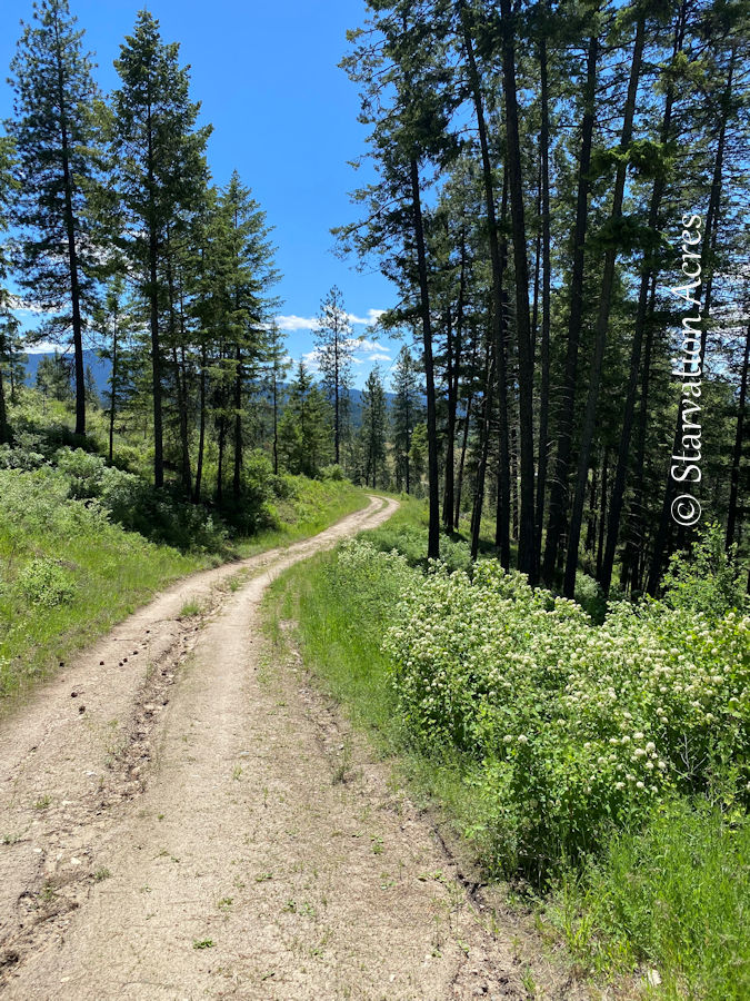State land road