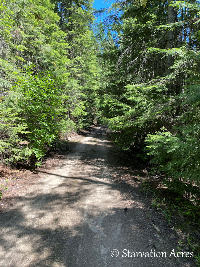 State land dirt road