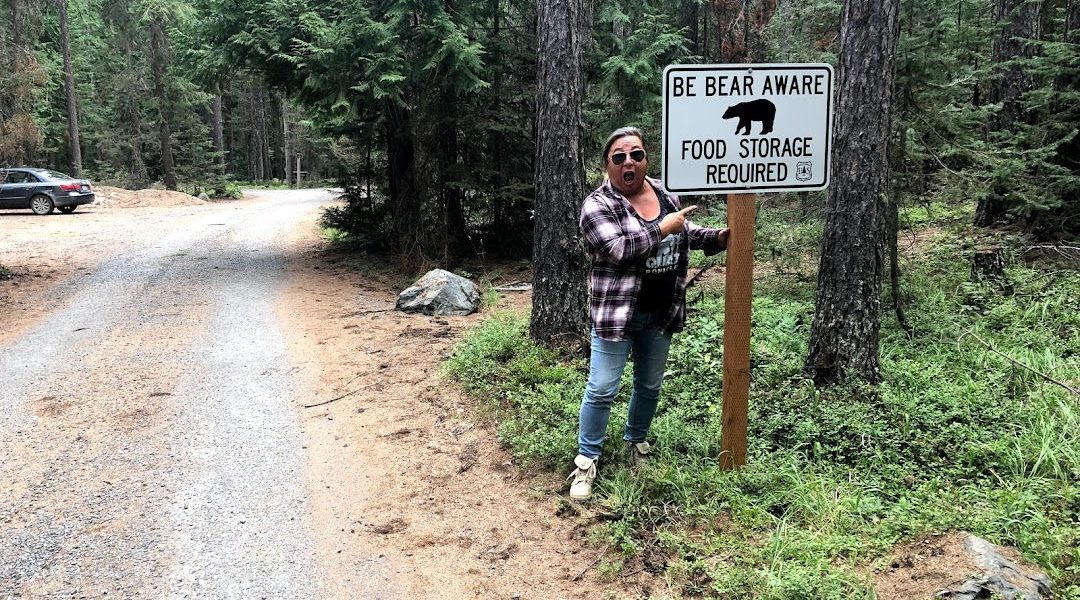 Be Bear Aware