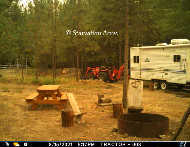 Smokey day in camp.