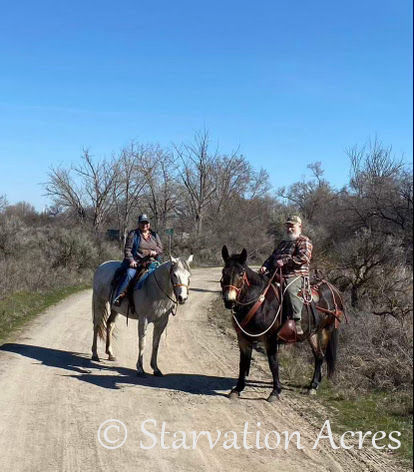 Naomi and Butch on Stormy and Roscoe